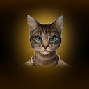 Kristala House-Trained Achievement