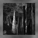 Chapter 3 Normal