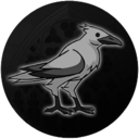 Flight of the Raven