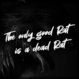 إنجاز The only good Rat is a dead Rat في Loretta