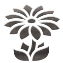 Sun Flower