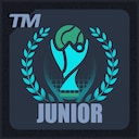 Tennis Manager 26 The World Champions (junior) Achievement