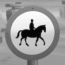 Say, That's a Nice Car achievement