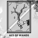 Ace of Wands