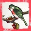like a bird