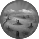 The wood shortage