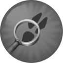 Chief Inspector
