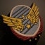 Wings of Steel