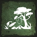 Rainforest Hiking