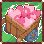 Loads of Affection