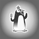 South Pole achievement