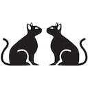 Purrfect Pair