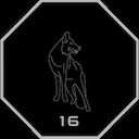 HSOW - 16