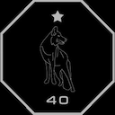 HSOW - 40
