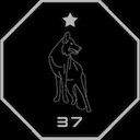 HSOW - 37