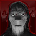 House Eleven achievement