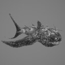 ray
