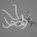 kraken
