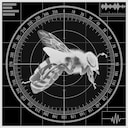 Extravehicular activity