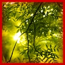 Achievement - Awake and Alive