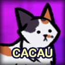 Cacau