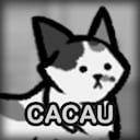 Cacau