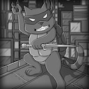 The Ninja Cat