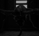 RUN FOR YOUR LIFE