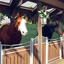 Rival Stars Horse Racing: Desktop Edition Experienced breeder Achievement