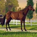 Rival Stars Horse Racing: Desktop Edition First foal Achievement