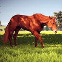 Rival Stars Horse Racing: Desktop Edition Genetically superior Achievement