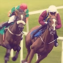 Rival Stars Horse Racing: Desktop Edition Hat trick Achievement