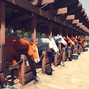 Rival Stars Horse Racing: Desktop Edition Full house Achievement