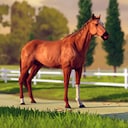 Rival Stars Horse Racing: Desktop Edition Having a mare Achievement