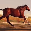 Rival Stars Horse Racing: Desktop Edition Experienced trainer Achievement