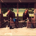 Rival Stars Horse Racing: Desktop Edition Four's a party Achievement