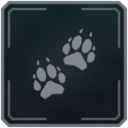 House Pets