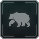 Bear Attack!