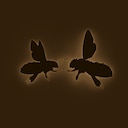 Interspecies Relations