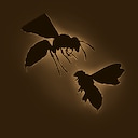 Furious Bee