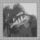 Perch
