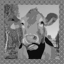 Little cow