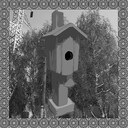 Protector of birds achievement