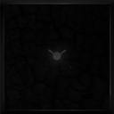 Rebirth