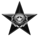 Distinguished Service Medal