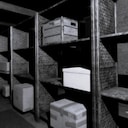 Between Shelves, Beyond Reach