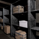 Between Shelves, Beyond Reach