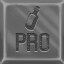 Pro Moolotover