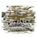 The Scars Left by the Giants