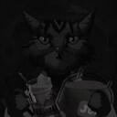 Cool Cats Only
